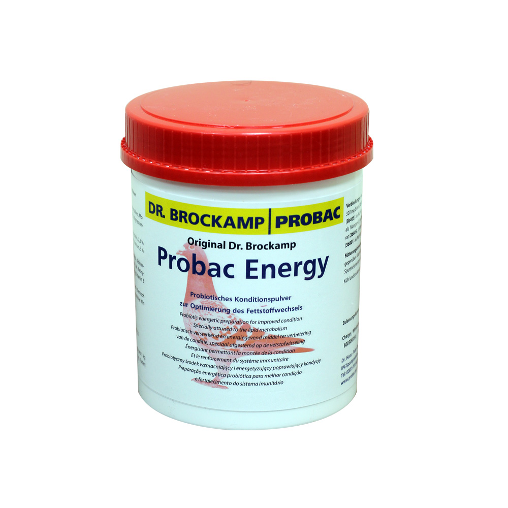 Probac Energy  500GM بروباك إنريجي